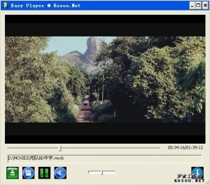 EasyPlayer